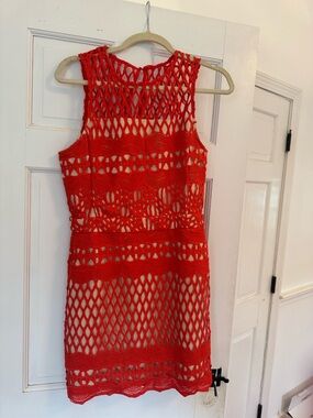 Endless Rose Red Crochet Mini Dress